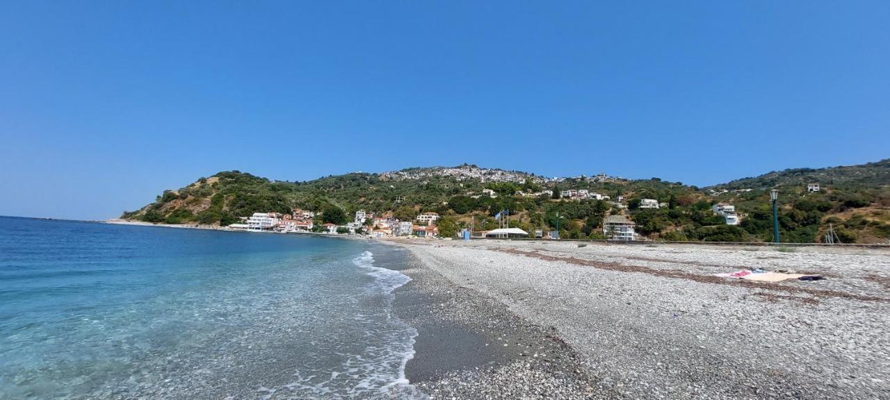 Mirsinia Apartments - Skopelos Loutraki (Skopelos) Exterior foto